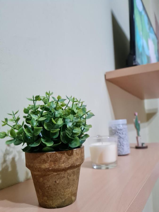 Ex-Block District Charming Studio Apartment With Treeish Sorrounding View! Tirana Zewnętrze zdjęcie
